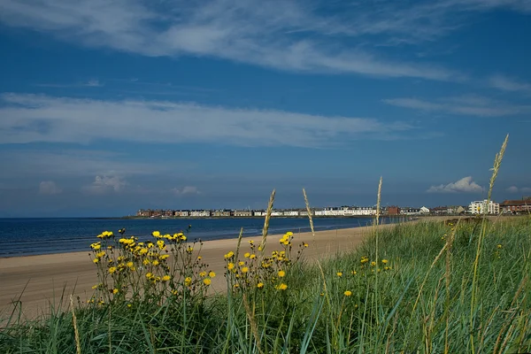 Troon